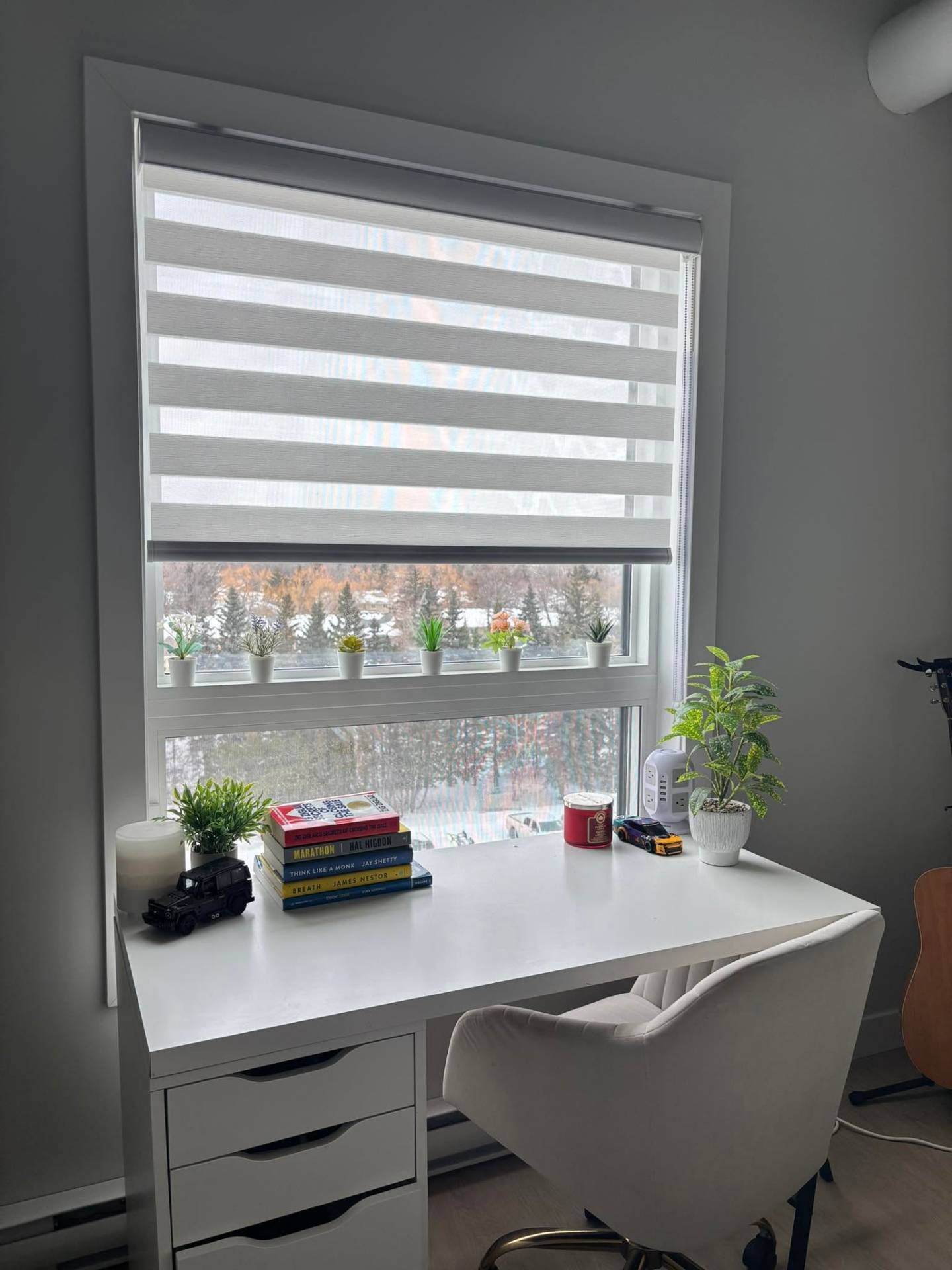 Home Office · White Zebra