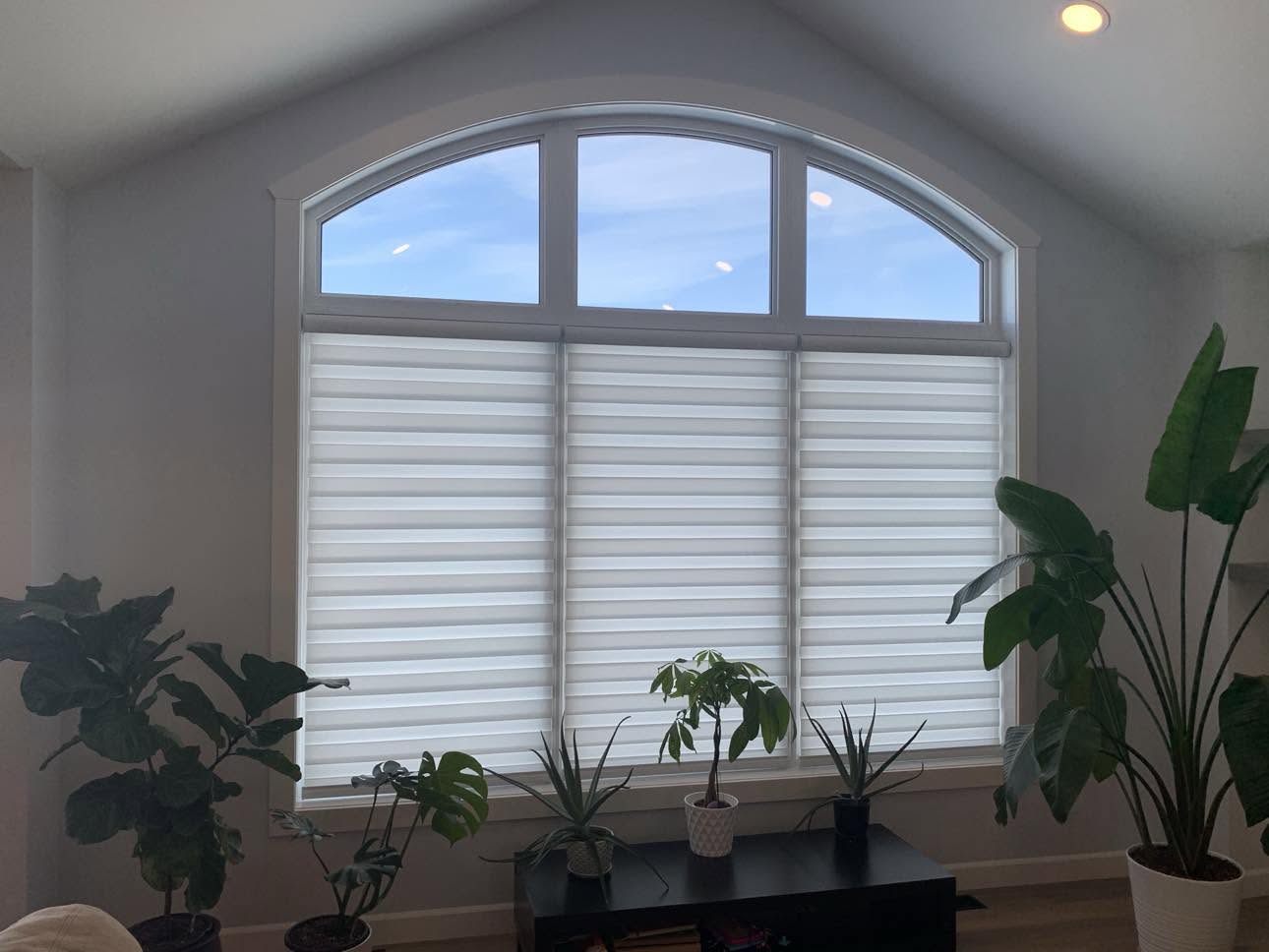 Arched Great Room · Ivory Zebra