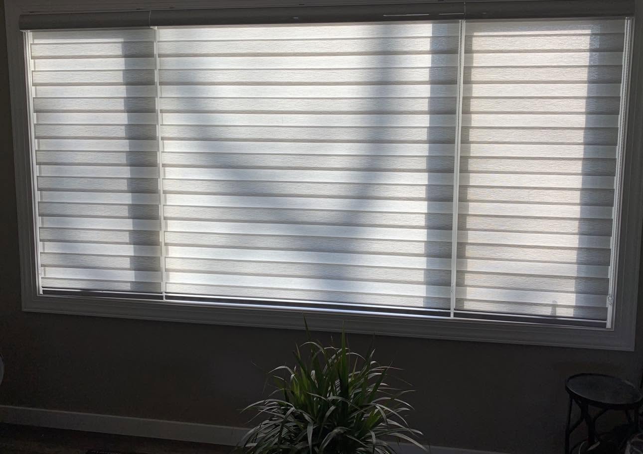 Family Room · Sheer Zebra